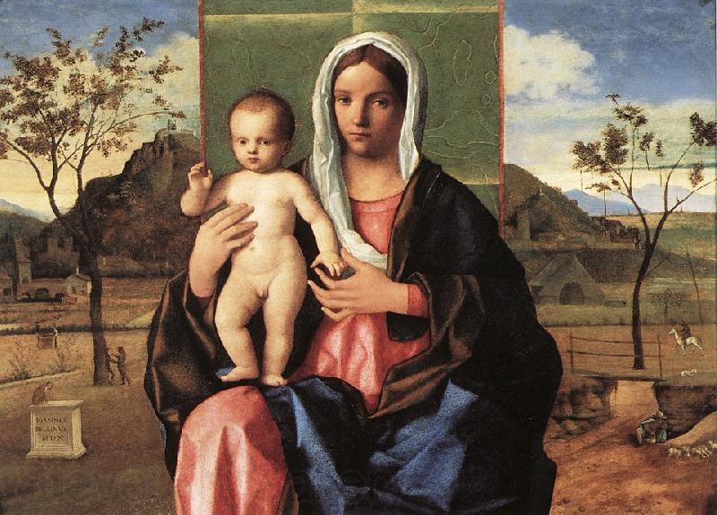 BELLINI, Giovanni Madonna and Child Blessing lpoojk Norge oil painting art